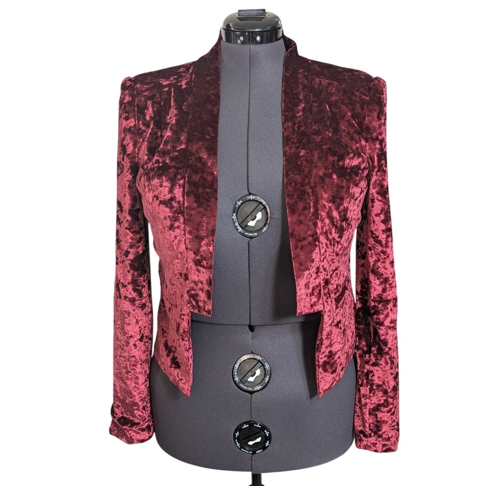 Vampirecore Crushed Velvet Open Blazer Size L